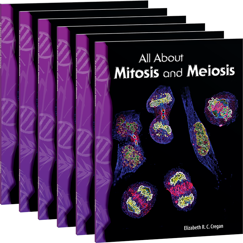 All About Mitosis and Meiosis 6-Pack