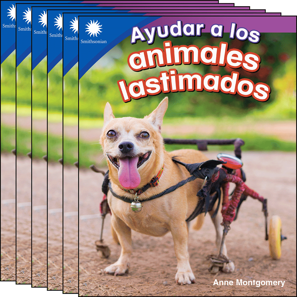 Ayudar a los animales lastimados 6-Pack