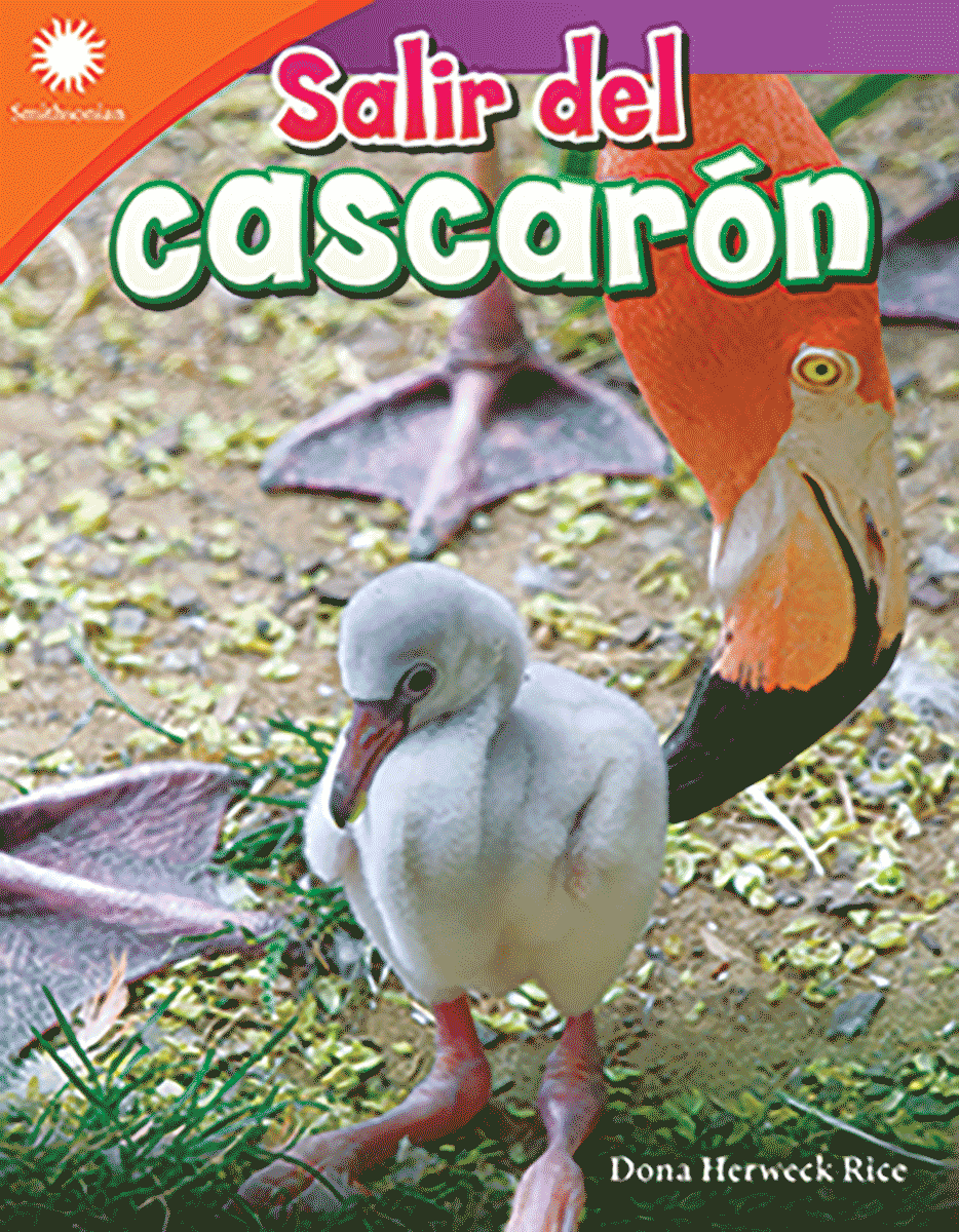 Salir del cascarón ebook