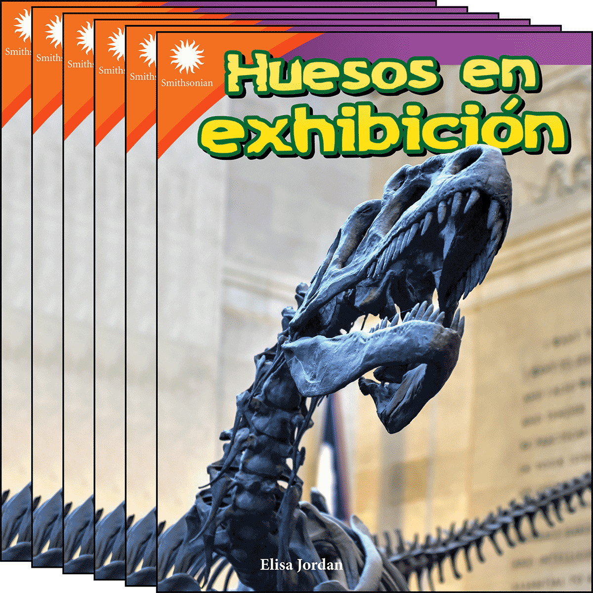 Huesos en exhibición 6-Pack