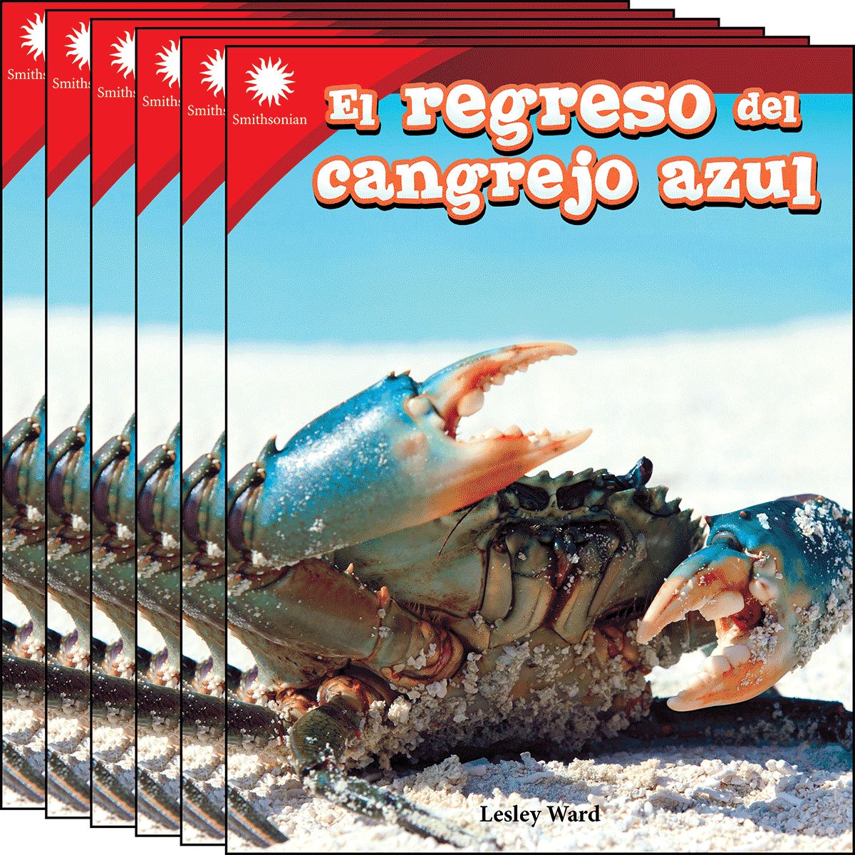 El regreso del cangrejo azul 6-Pack