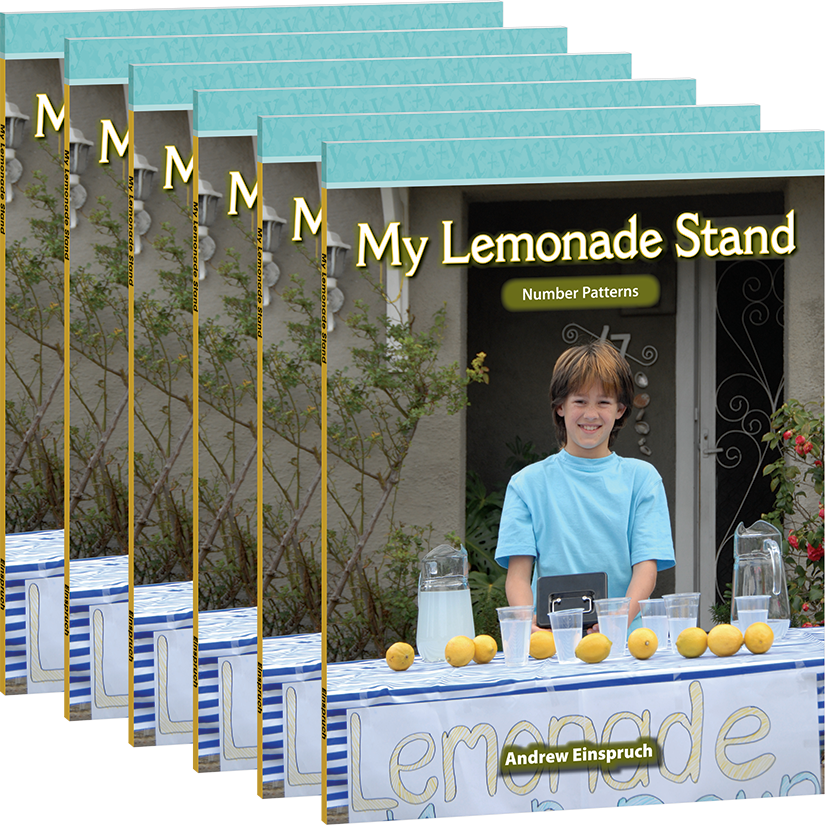 My Lemonade Stand 6-Pack