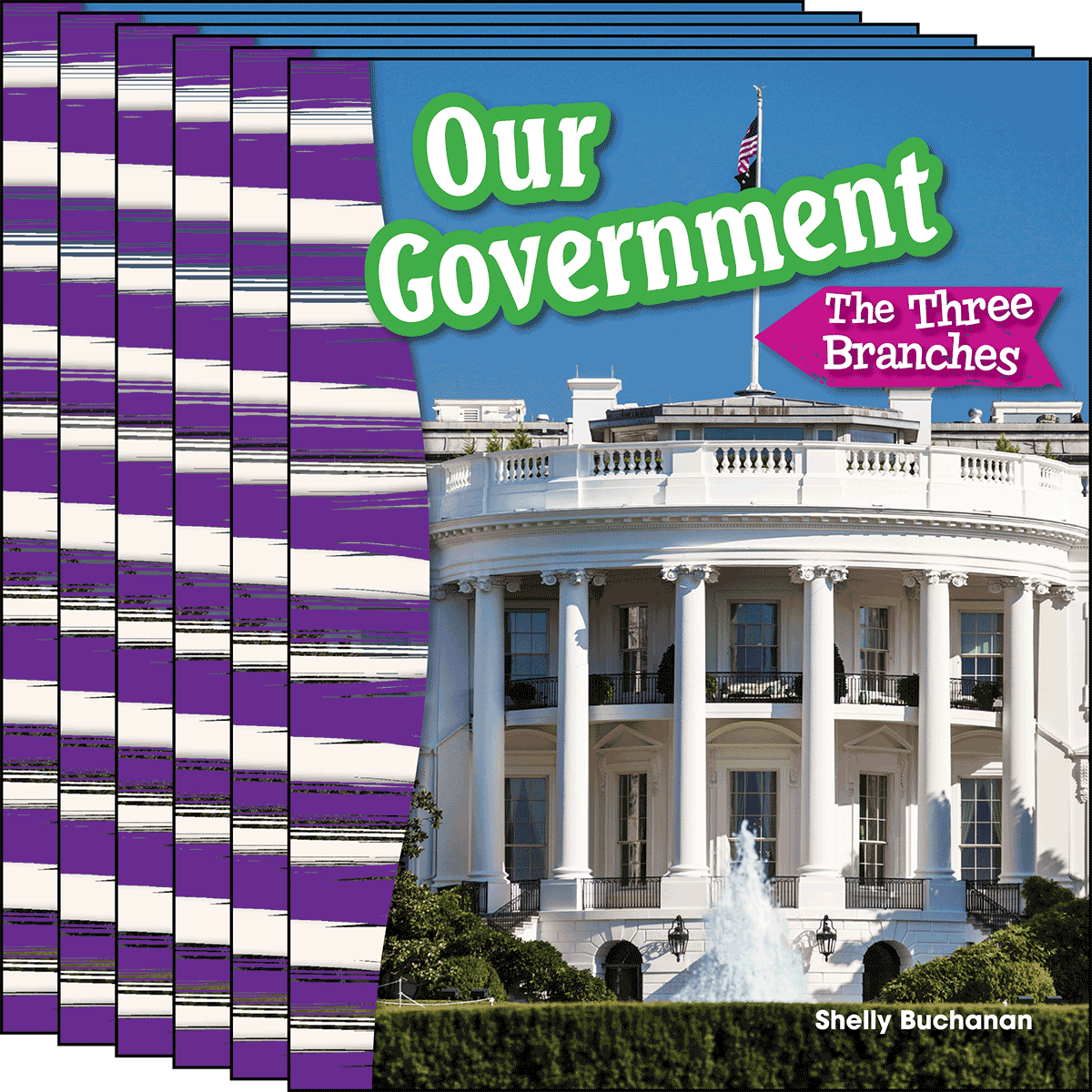 Our Government: The Three Branches 6-Pack for Georgia
