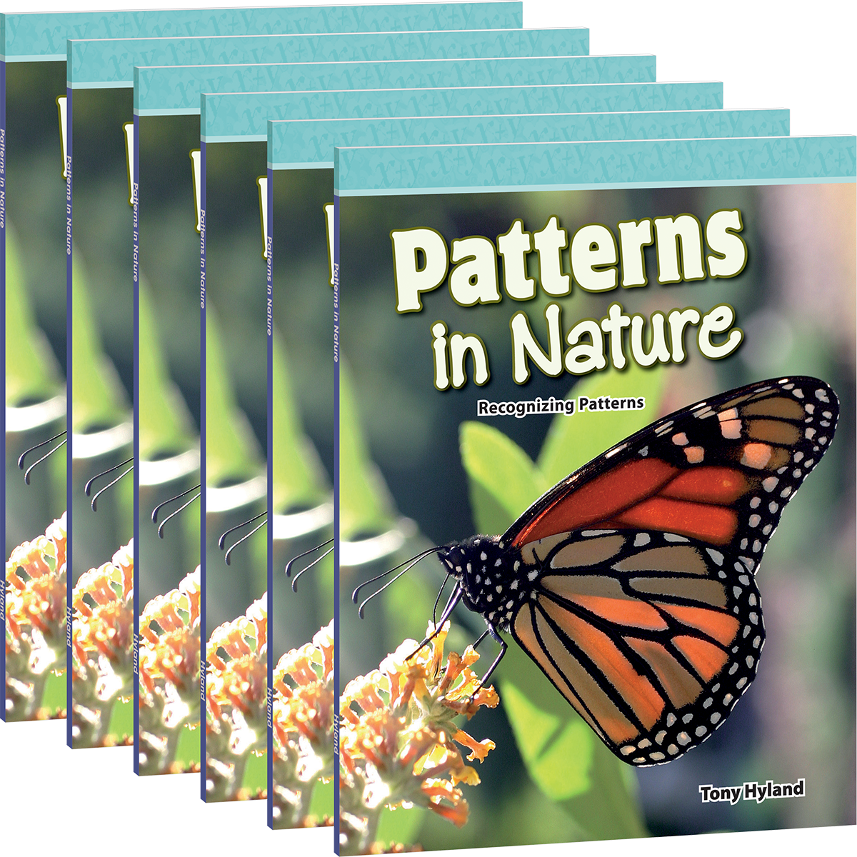 Patterns in Nature 6-Pack