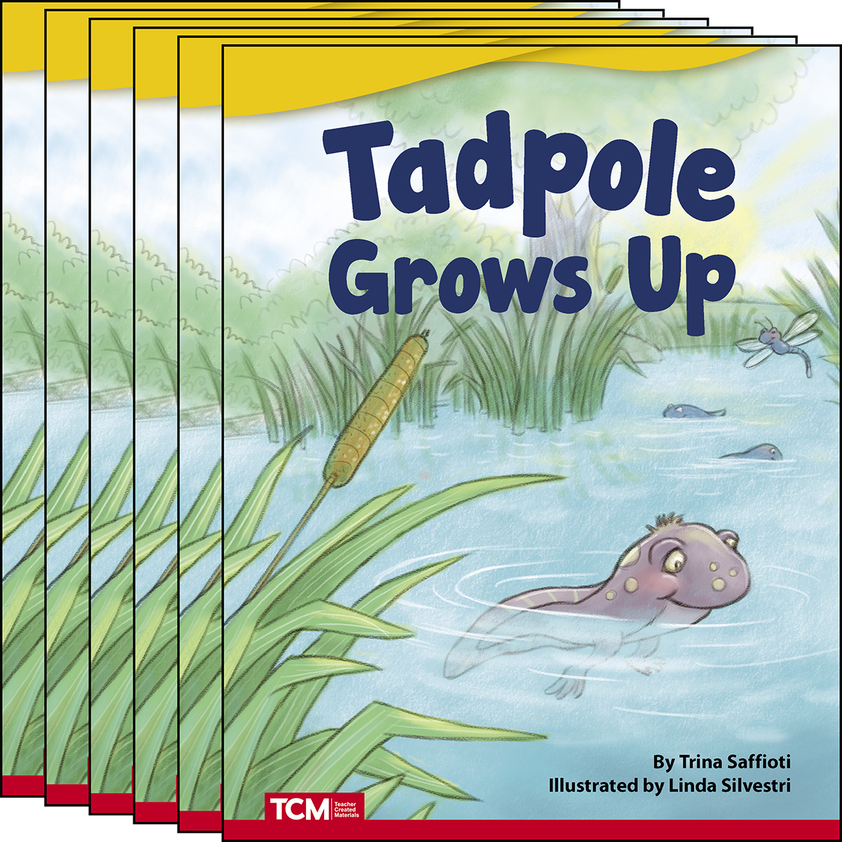 Tadpole Grows Up 6-Pack