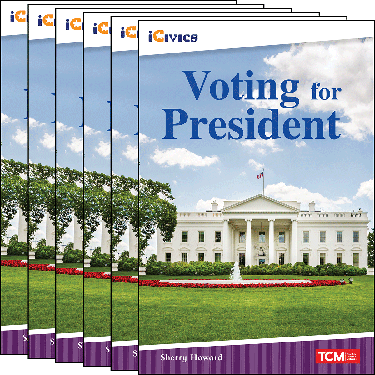 Voting for President 6-Pack