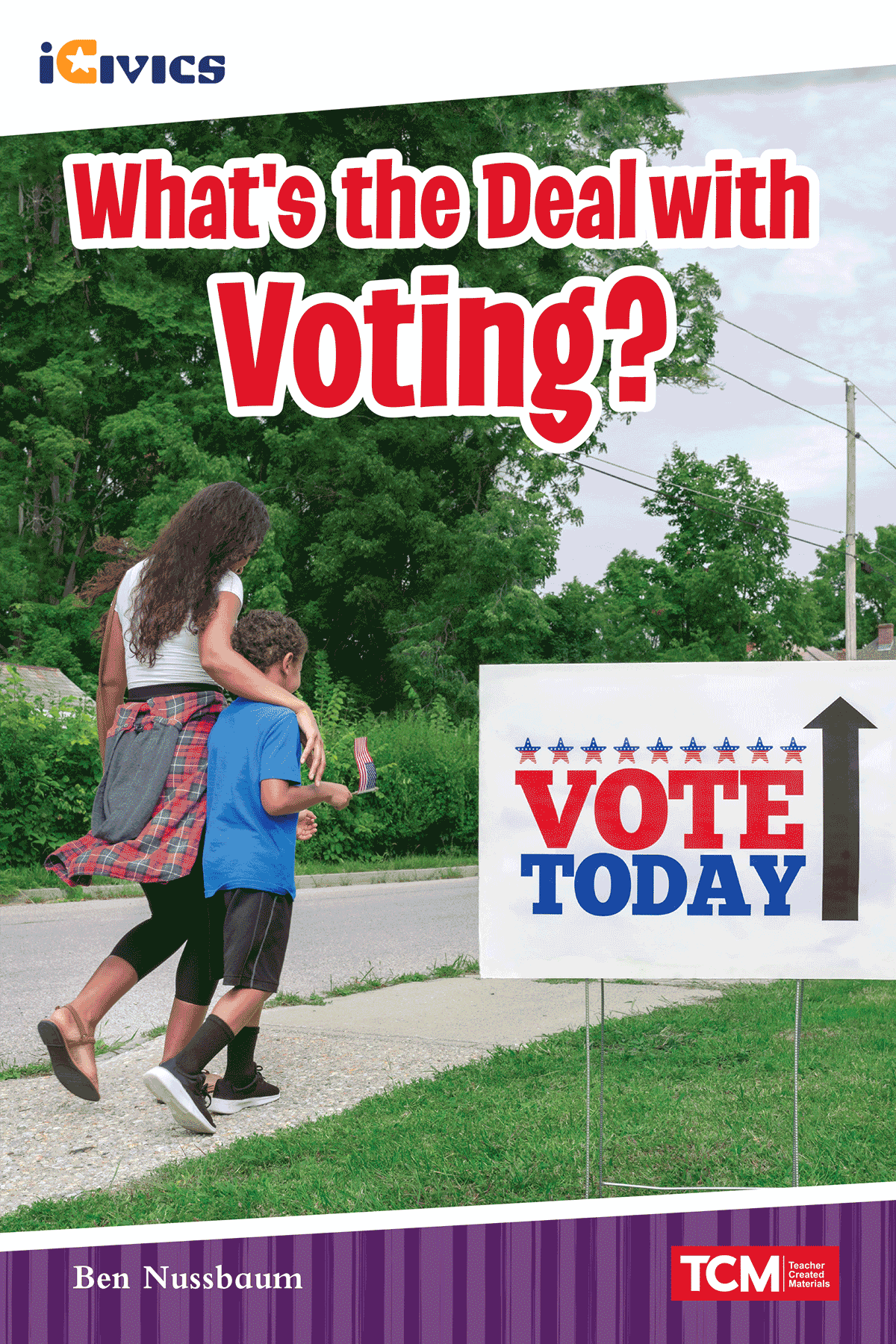 What's the Deal with Voting? ebook