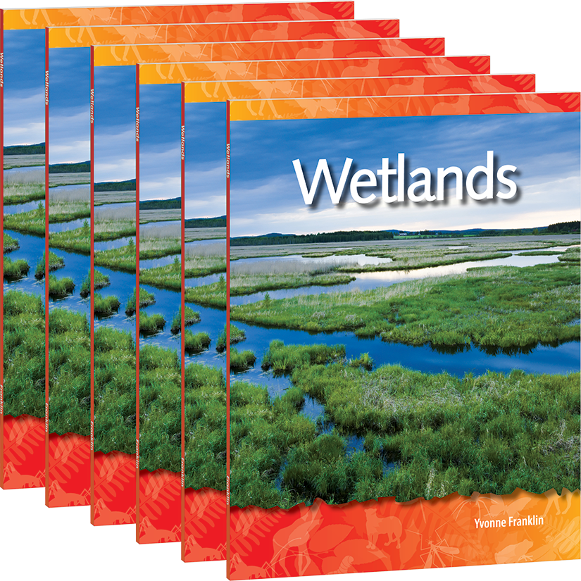 Wetlands 6-Pack