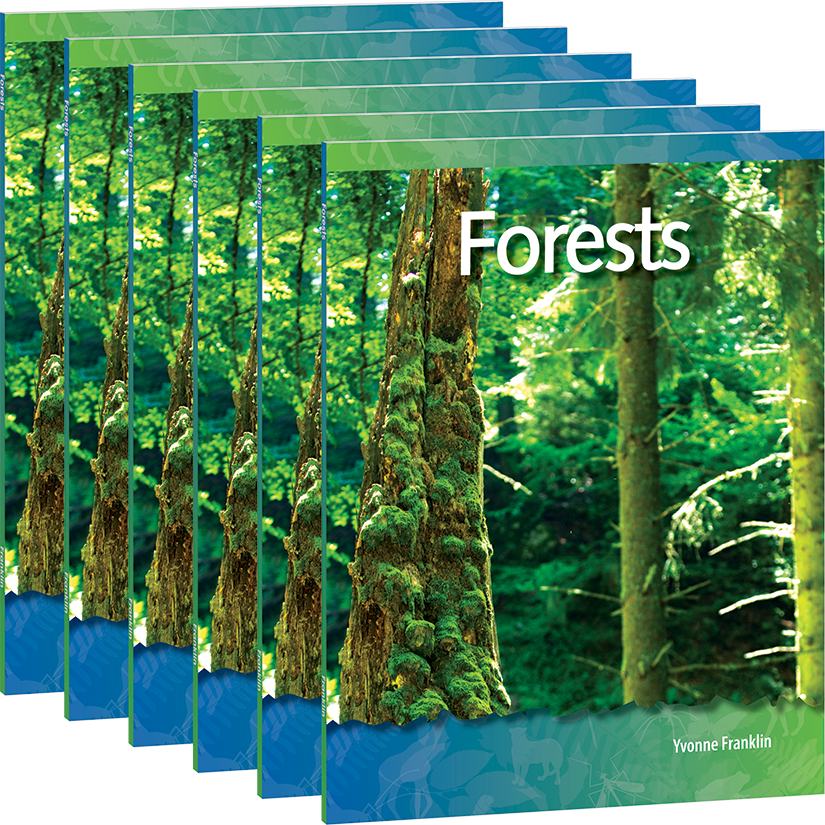 Forests 6-Pack