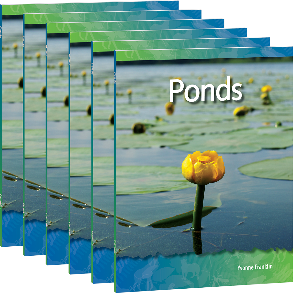 Ponds 6-Pack