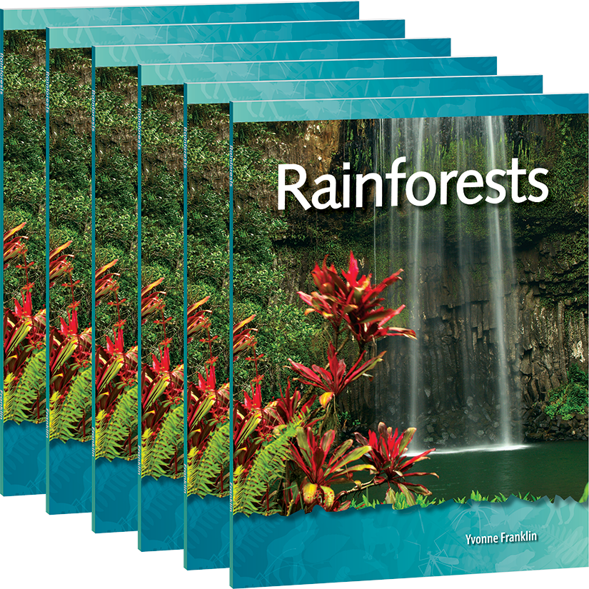 Rainforests 6-Pack