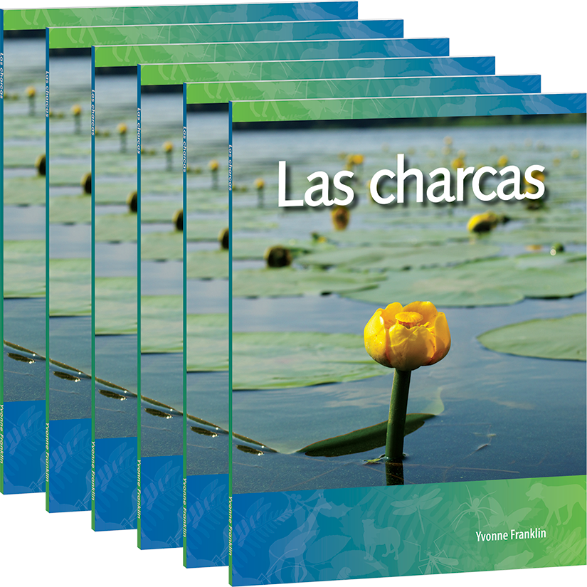 Las charcas 6-Pack