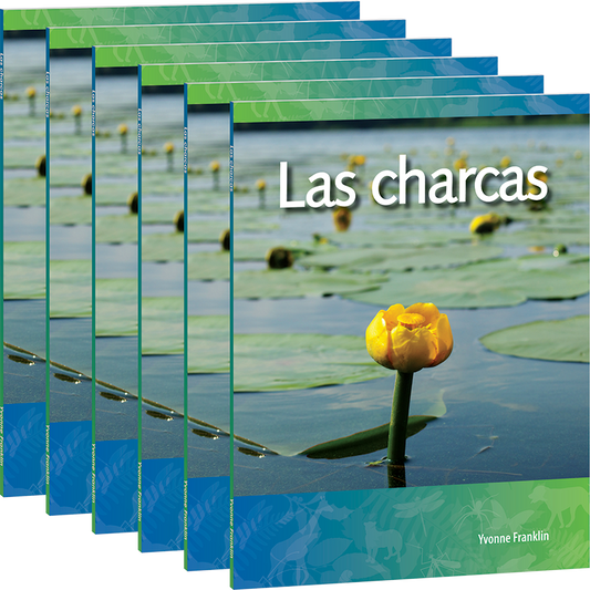 Las charcas 6-Pack