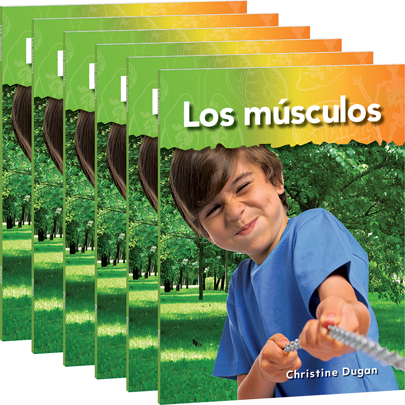 Los músculos 6-Pack