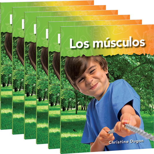 Los músculos 6-Pack