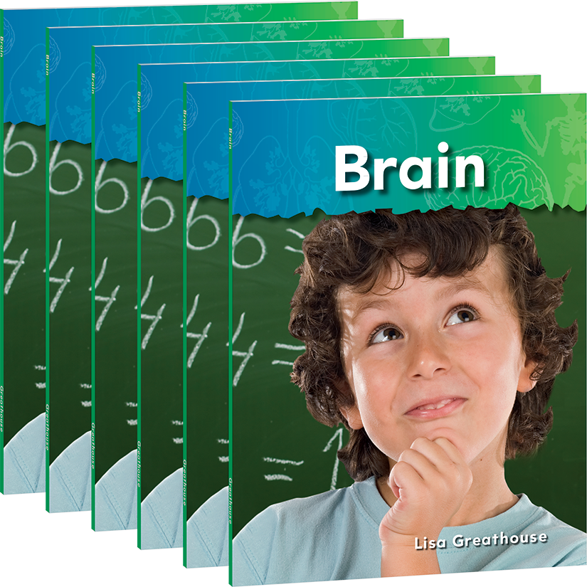 Brain 6-Pack