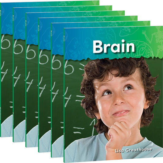 Brain 6-Pack