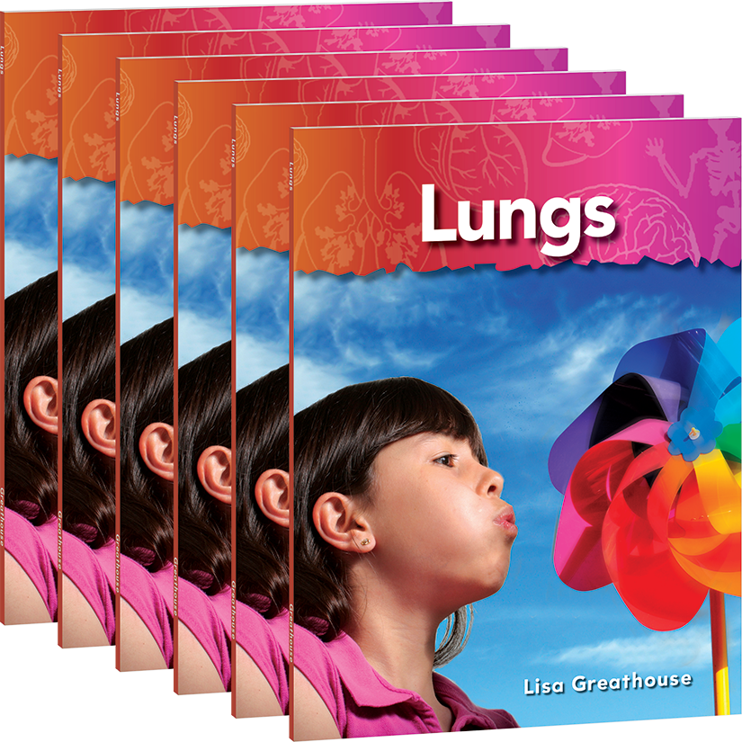 Lungs 6-Pack