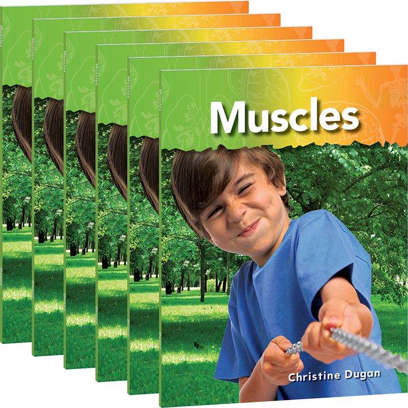 Muscles 6-Pack