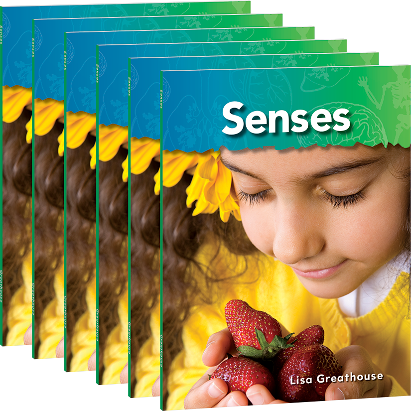 Senses 6-Pack