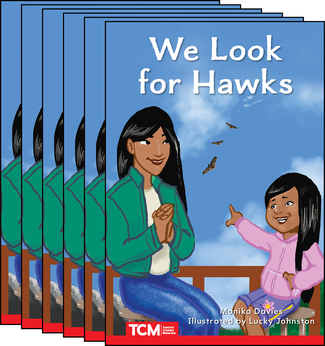 We Look for Hawks 6-Pack