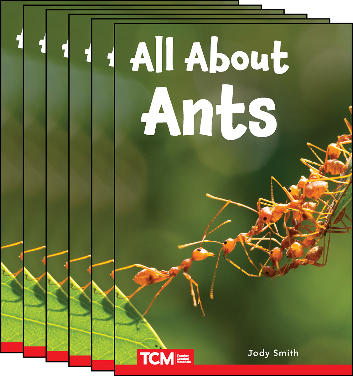 All about Ants 6-Pack