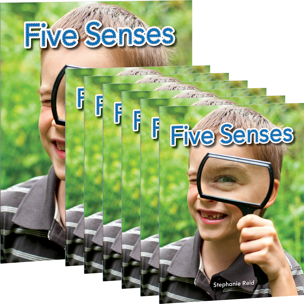 Five Senses 6-Pack