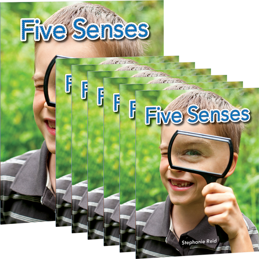 Five Senses 6-Pack