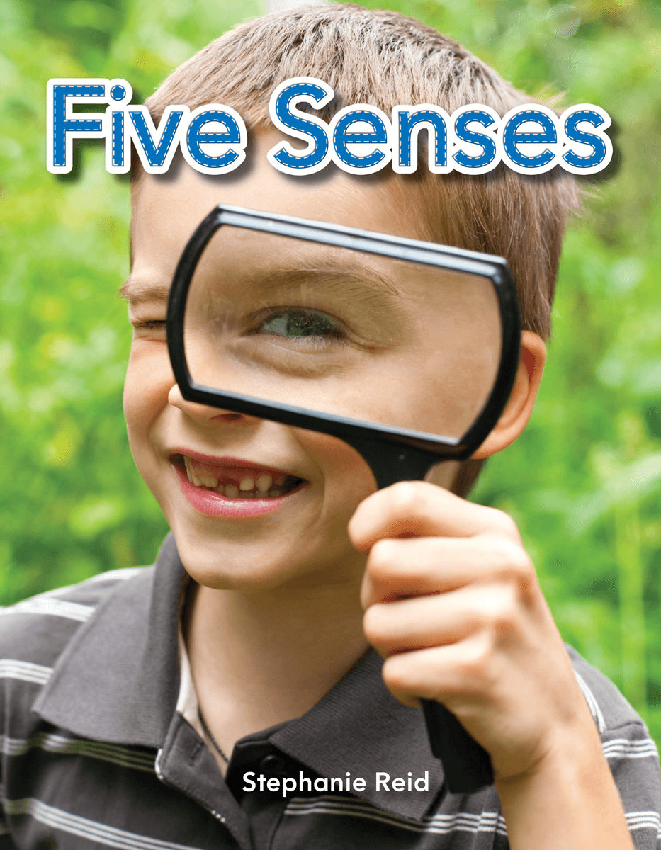 Five Senses ebook