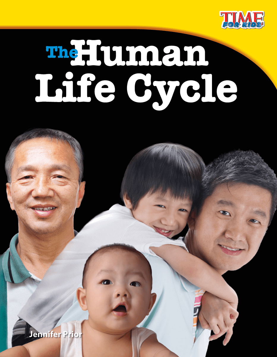 The Human Life Cycle