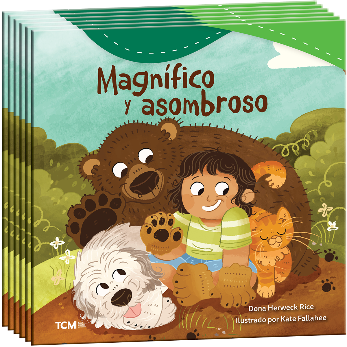 Magnífico y asombroso 6-Pack