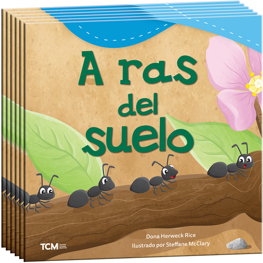 A ras del suelo 6-Pack