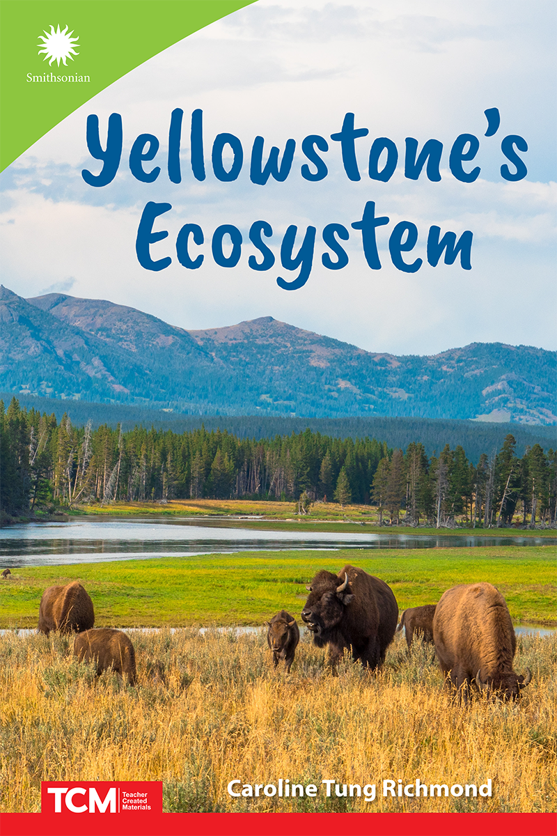 Yellowstone’s Ecosystem