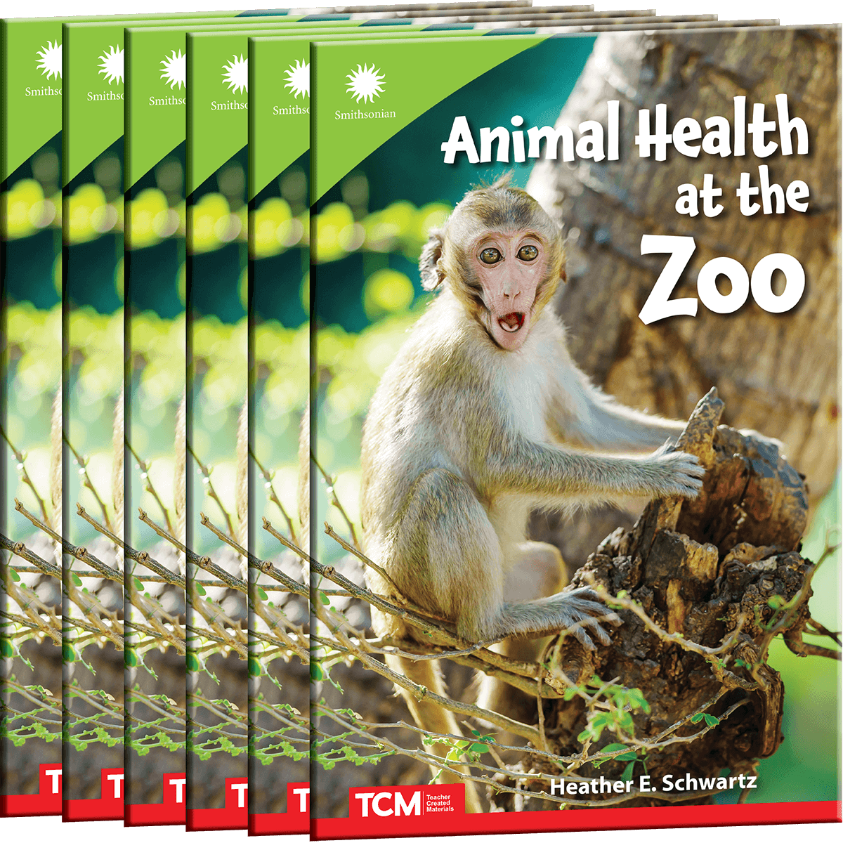 Animal Health at the Zoo 6-Pack