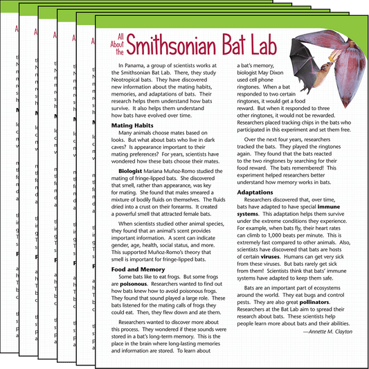 All About the Smithsonian Bat Lab Text Card 6-Pack