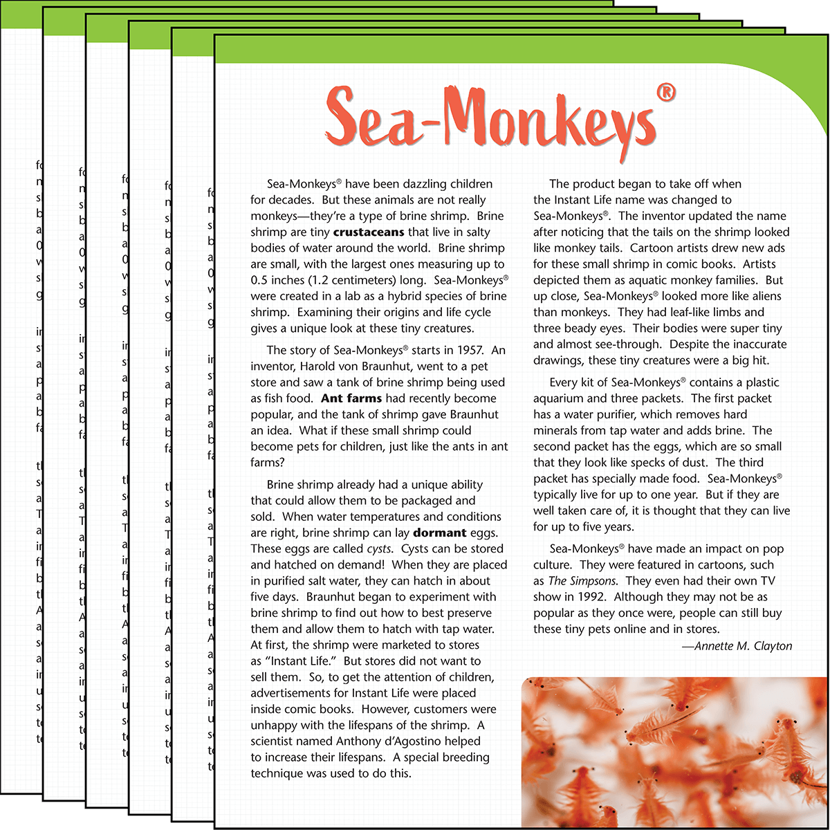 Sea-Monkeys®️ Text Card 6-Pack