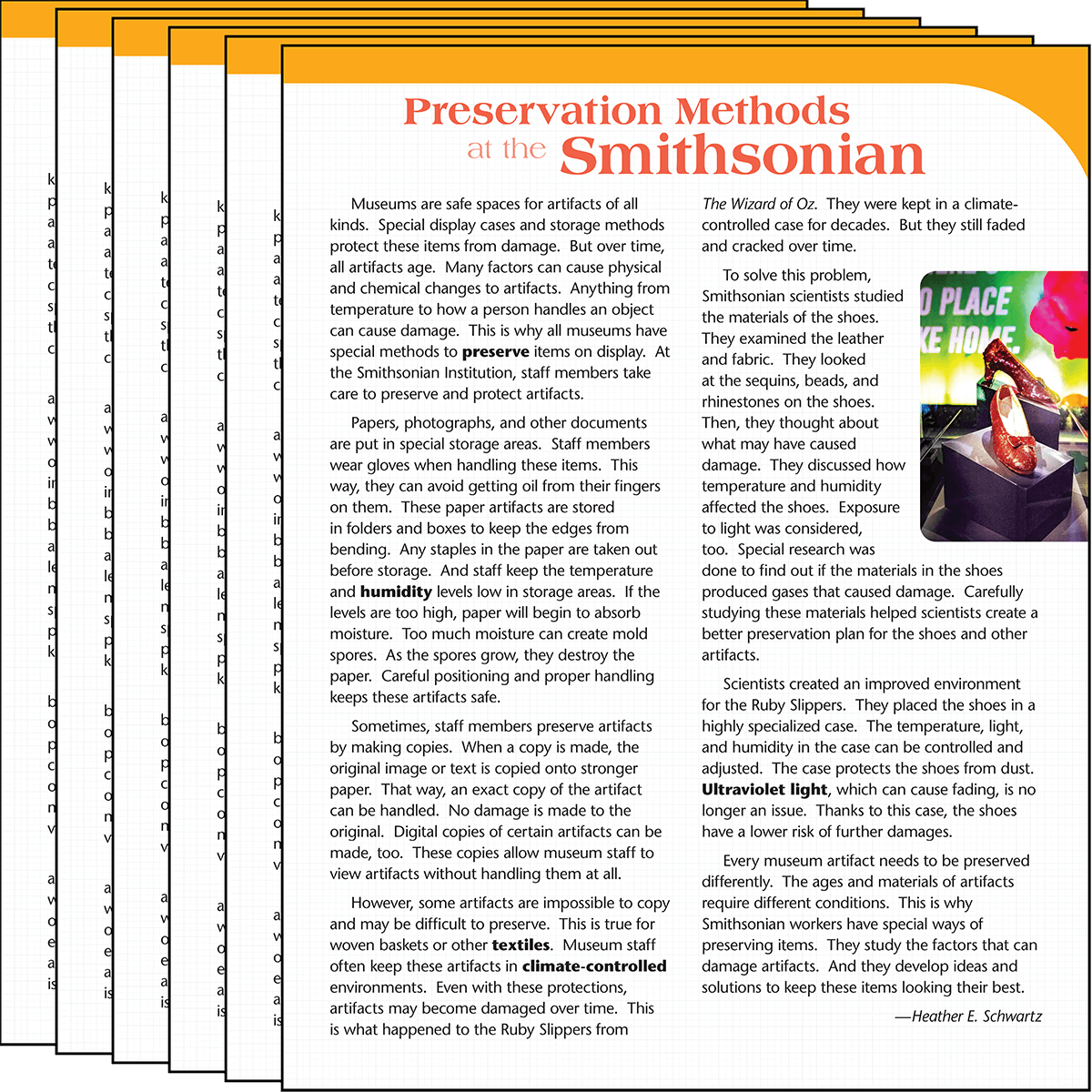 Preservation Methods at the Smithsonian Text Card 6-Pack