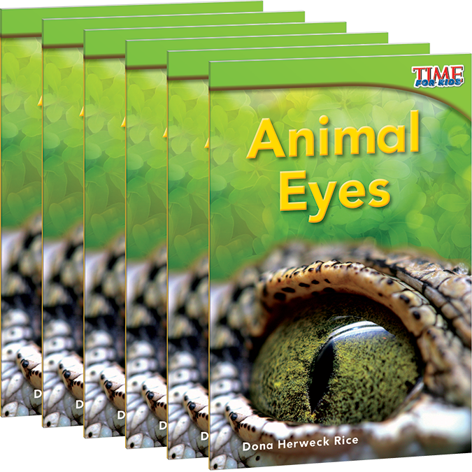 Animal Eyes 6-Pack