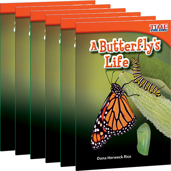 A Butterfly's Life 6-Pack