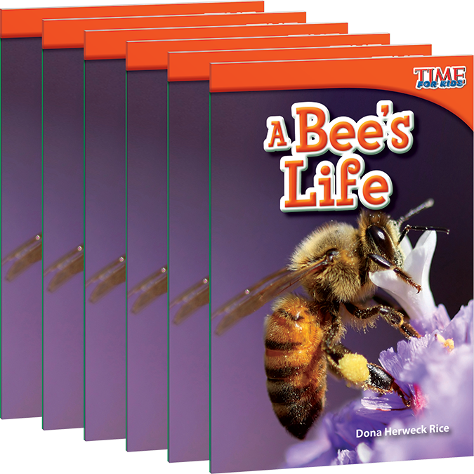 A Bee's Life 6-Pack