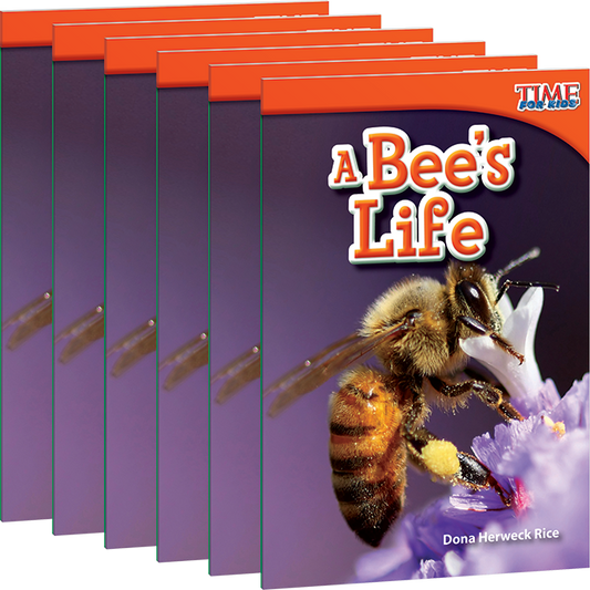 A Bee's Life 6-Pack