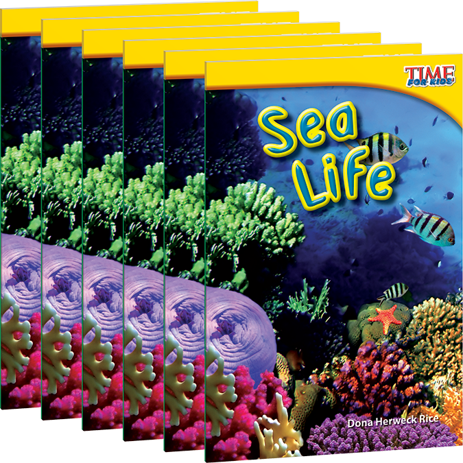 Sea Life 6-Pack