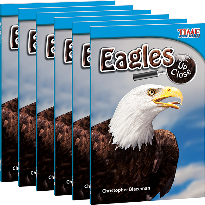 Eagles Up Close 6-Pack