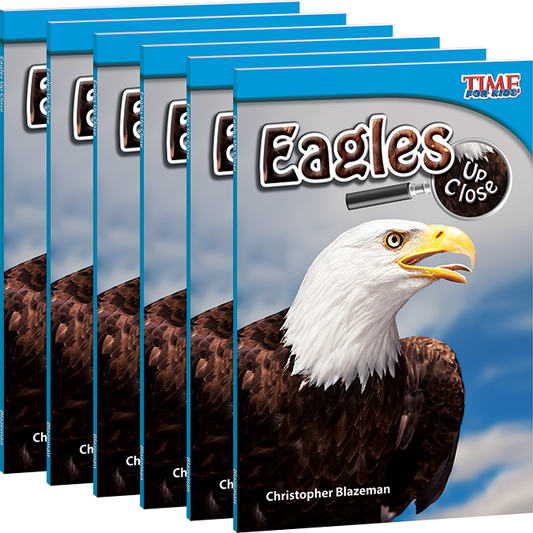 Eagles Up Close 6-Pack