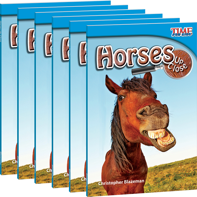 Horses Up Close 6-Pack