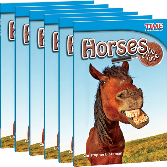 Horses Up Close 6-Pack