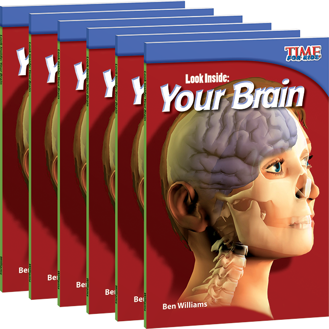 Look Inside: Your Brain 6-Pack