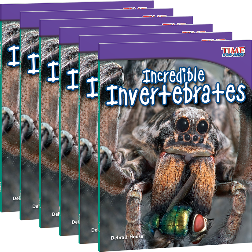 Incredible Invertebrates 6-Pack