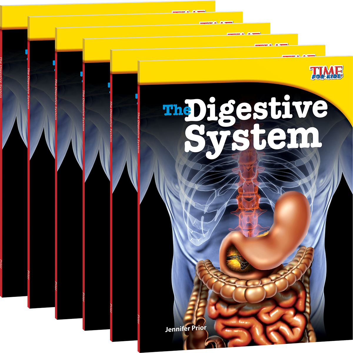 The Digestive System 6-Pack