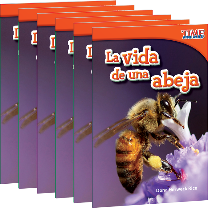 La vida de una abeja 6-Pack